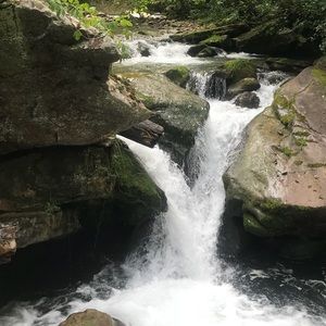 Meet your Posher, Jessie